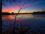 pleasant evening for ducks and coots