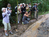 Muddy Birding on Pipeline Rd