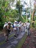 Road to Canopy Tower
