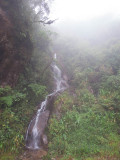 Cloud Forest Cascade