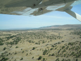 Senengeti plains from the air