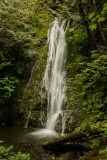 Madison Creek Falls