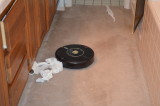 Roomba attacks