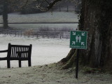 at the bench