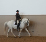 Spanish Riding School