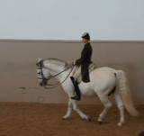 Spanish Riding School