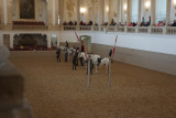 Spanish Riding School