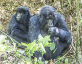 Adolescent with Mom