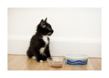 yummy, my first meal in my new home :0)