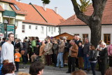 RA5_4464.JPG