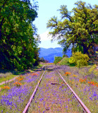 Spring Tracks.jpg