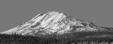 Mt. Adams, Panoramic