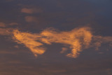 Cloud Play
