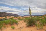 Coral Dunes State Park