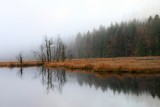 IMG_0053