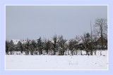 Notre village sous la neige - A snowy day in our village 