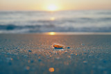 Narrabeen Beach Sunrise