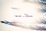 Follow Your Dream