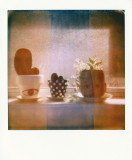 problematic polaroid