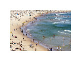 Bondi Bathers