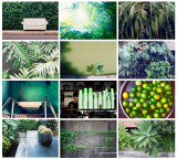 Shades of Green