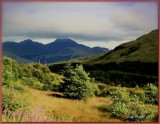 Tyndrum Crom Allt Burn