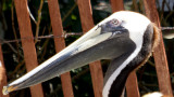 IMG_1850.jpg