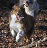 Watch out…Here They Come
