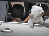 Cruising Down Santa Monica Blvd.