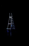 Lines in a Ladder