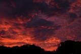 Sunset At The Park