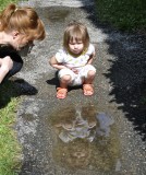 Hey, Whos in That Puddle?