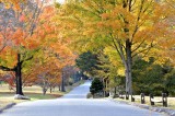 A Colorful Walk