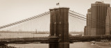 Looking At The Statue Of Liberty Through The Lines Of The Brooklyn Bridge