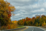 Colorful Drive