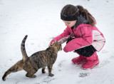 Making Friends In The Snow 