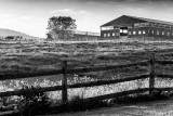 Down on the Farm