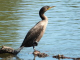 DSCF3848.JPG