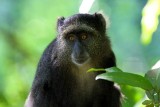 Lake Manyara