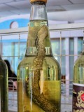 Snake wine, North Korea