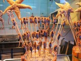Delicacies on a stick. Beijing, China