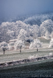 50477_00114.jpg