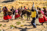 Aymara Condor Dance