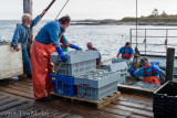 Unloading the Lobsters