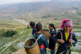 Hmong Guides
