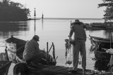 Netting for Bait