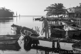 Netting for Bait, III