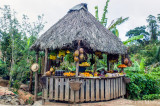 Fruit and Honey Stand