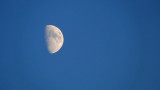 Day Moon