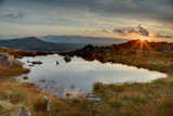 A small rock pool between Llyn Iwerddon and Moel Druman